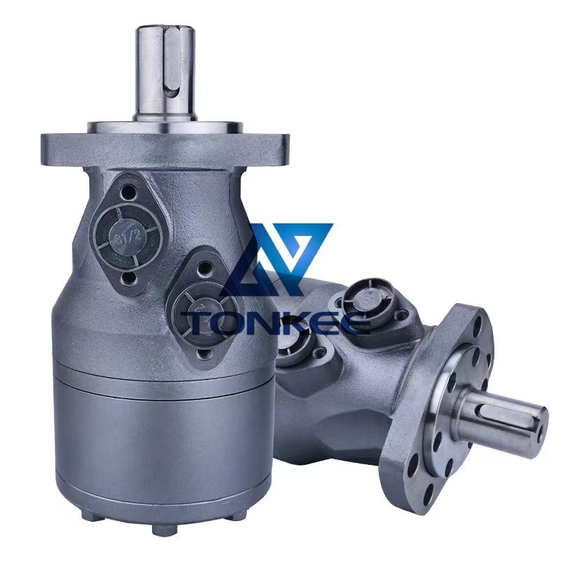 BMH200 250 315 400 500 Hydraulic Motors Low-speed and High-torque Oil Motors for Vulcanizing Machine and Oil Press  is on sale